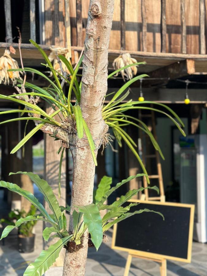 Du Gia Thu'S Homestay Làng Cac Dış mekan fotoğraf