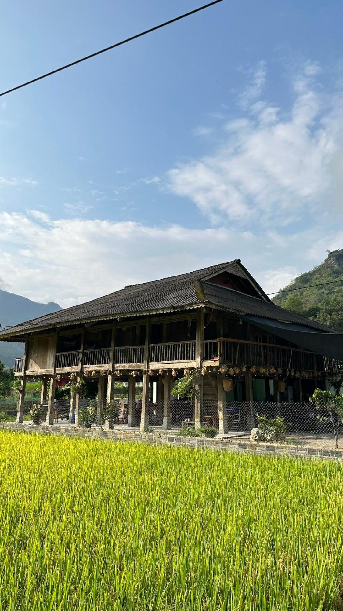 Du Gia Thu'S Homestay Làng Cac Dış mekan fotoğraf