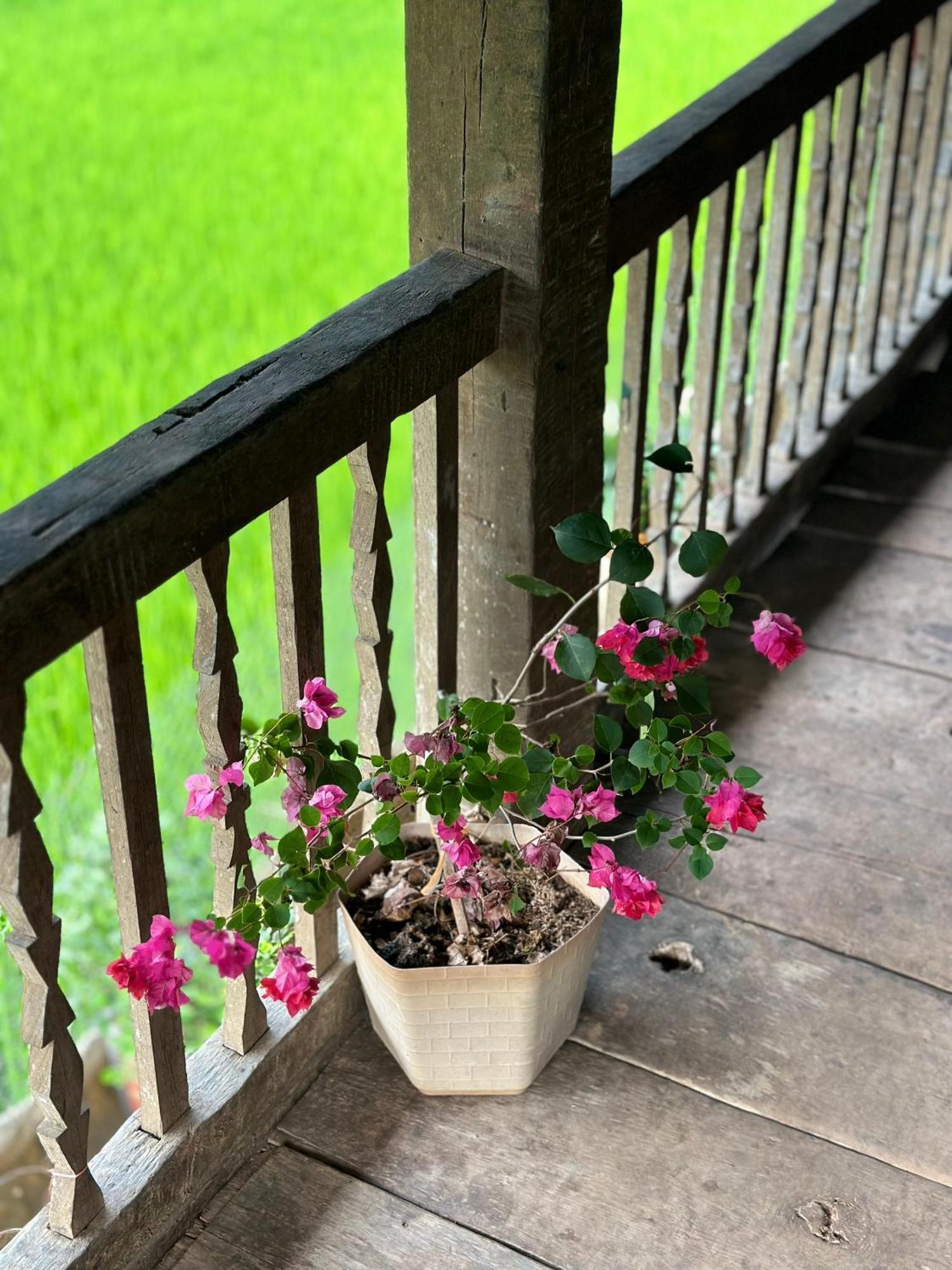 Du Gia Thu'S Homestay Làng Cac Dış mekan fotoğraf